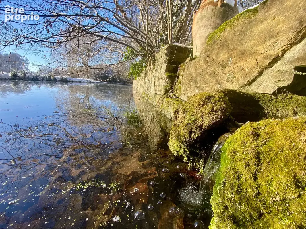 Magnifique logis du 17ème siècle sur 3,8ha, au coeur de la campagne préservée du sud pays d’auge. - photo 3