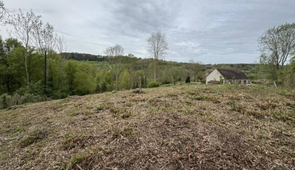 Terrain à LE MESNIL-SIMON