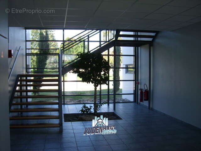 Commerce à COLOMIERS