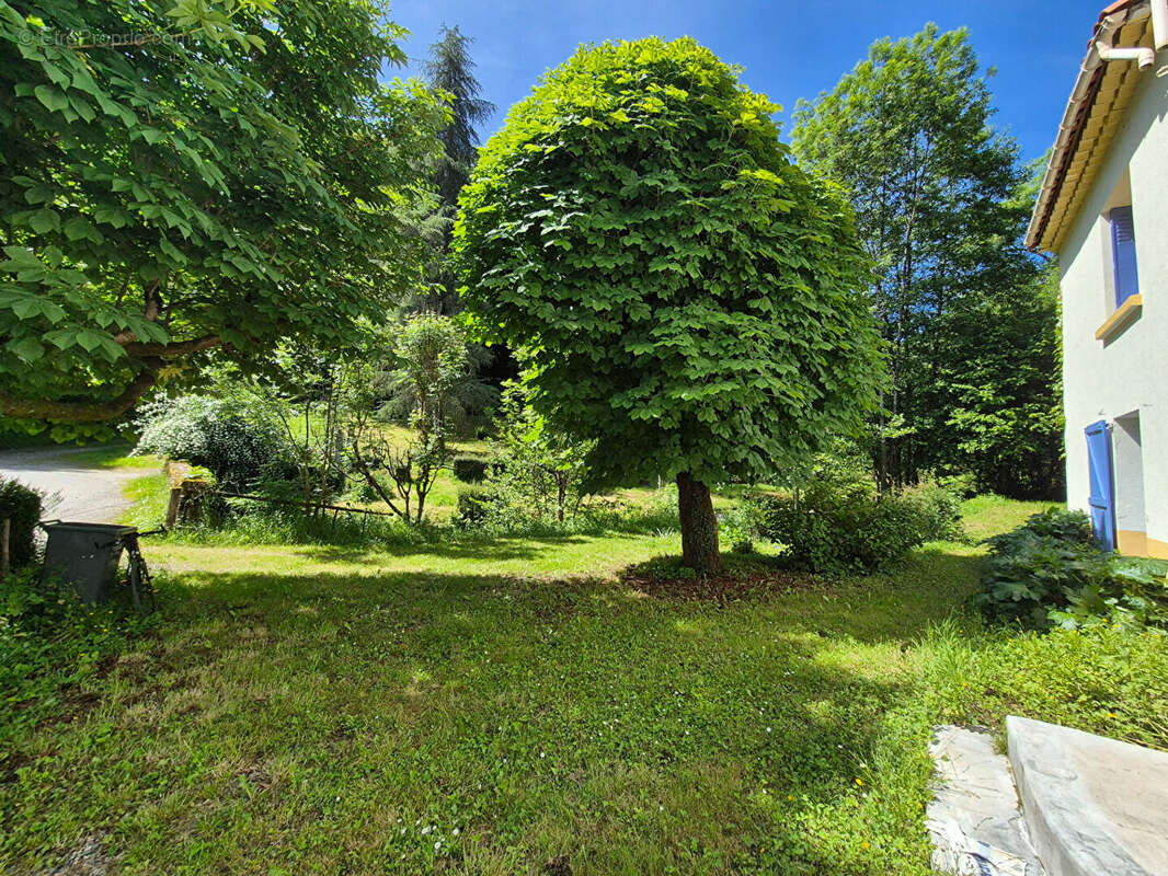 Maison Vallée de la barguillère 7 pièce(s) 150 m2 avec jardin de 996 m² - photo 18