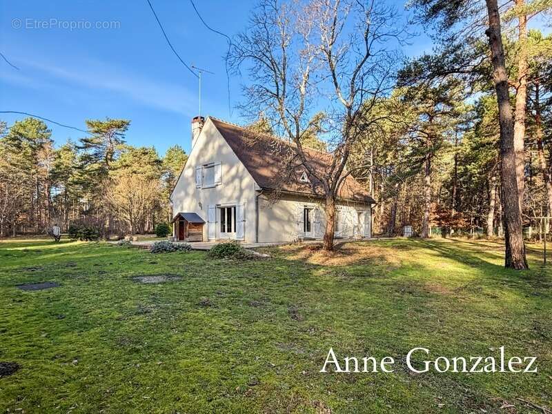 VIENNE EN VAL, à trente minutes d'ORLEANS aux portes de l'Orée de Sologne Propriété à vendre avec 24 hectares boisés et son étan - photo 18