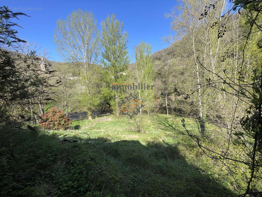 Vente maison de campagne en pierres avec terrain attenant de 2450 m2 - photo 13