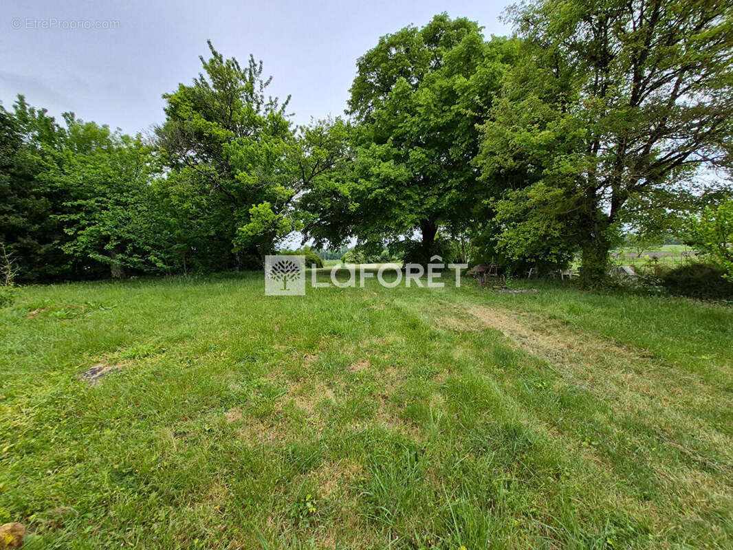 Maison au calme avec jacuzzi, garage et terrain - photo 8