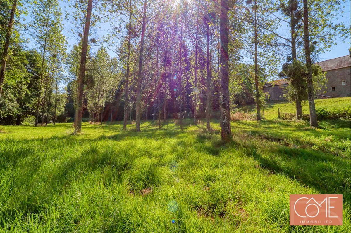 À vendre - saint-ouen-des-alleux (35140) - longère en pierre - 116 m² habitables - 3 chambres - terrain de plus d'1 hectare - ga - photo 14