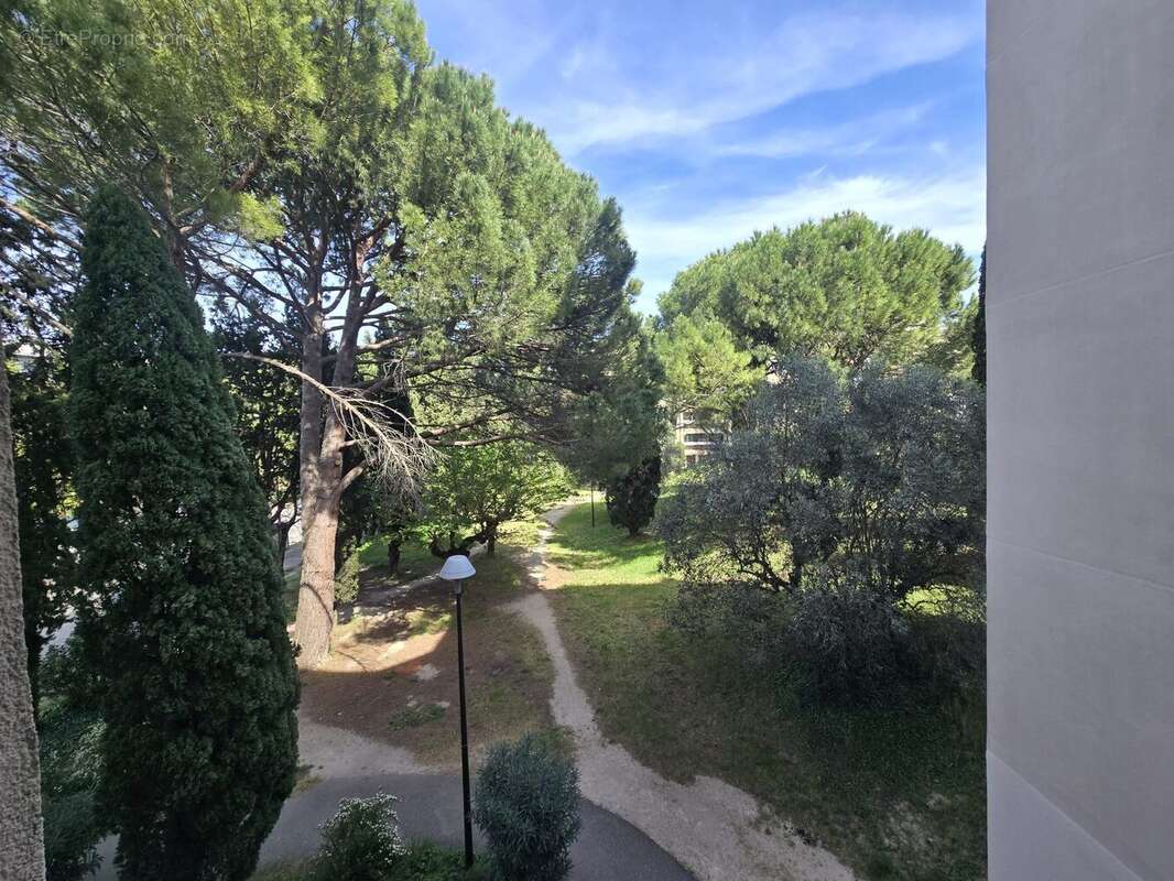 Appartement à AVIGNON