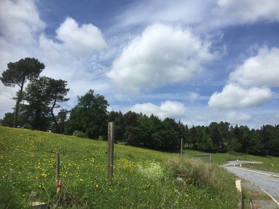 Terrain à PONT-DE-LARN