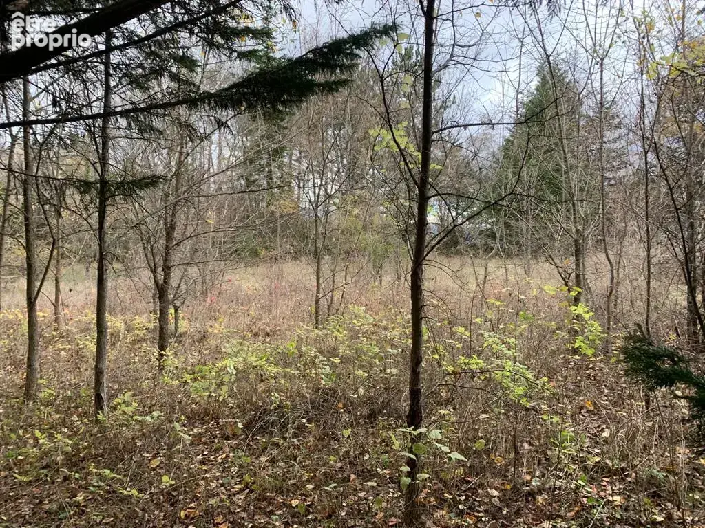  terrain de 2550 m2 arboré constructible et viabilisé - photo 3