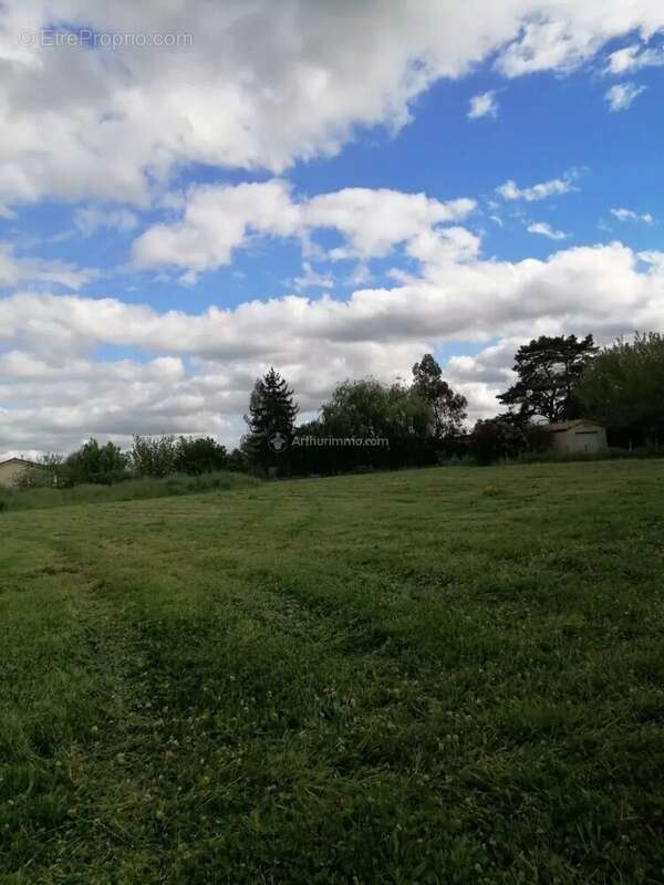 Terrain à MARSSAC-SUR-TARN
