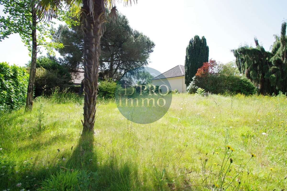 Terrain à BASSE-GOULAINE