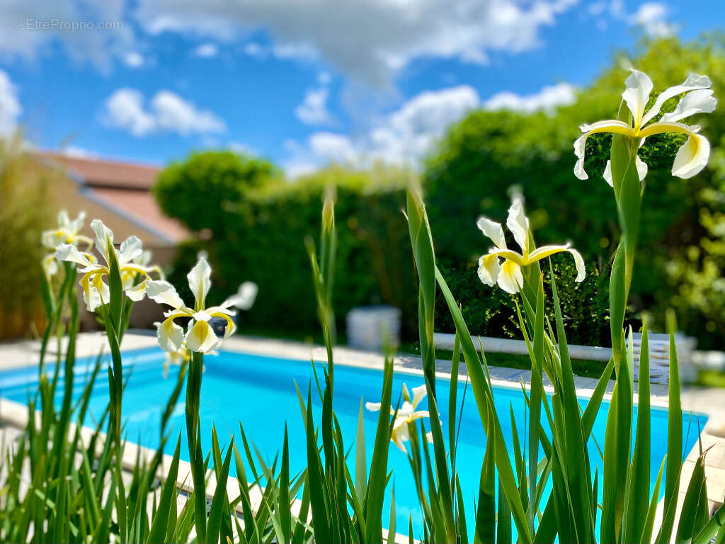 Maison à SAINT-LAURENT-D'AGNY