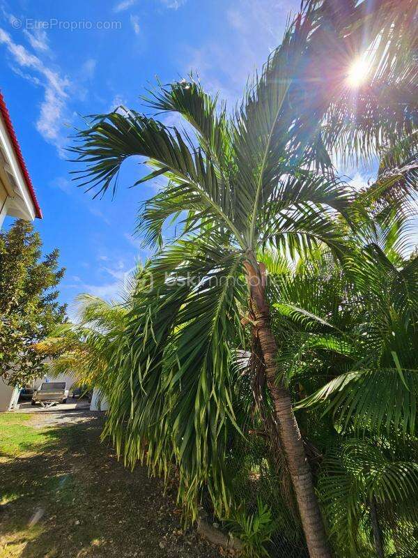 Maison à SAINT-FRANCOIS