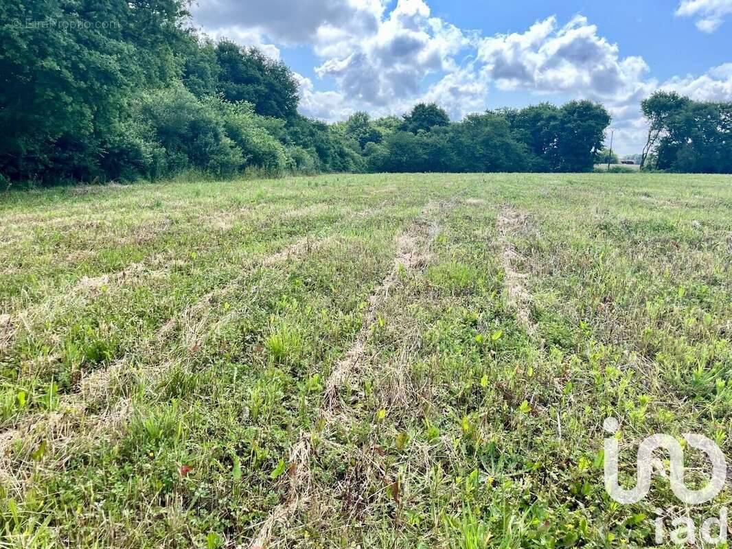 Photo 8 - Terrain à SAULT-DE-NAVAILLES