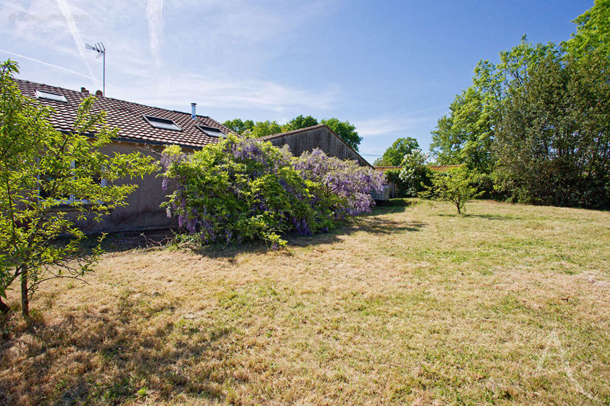 Maison Corcoué Sur Logne - photo 16