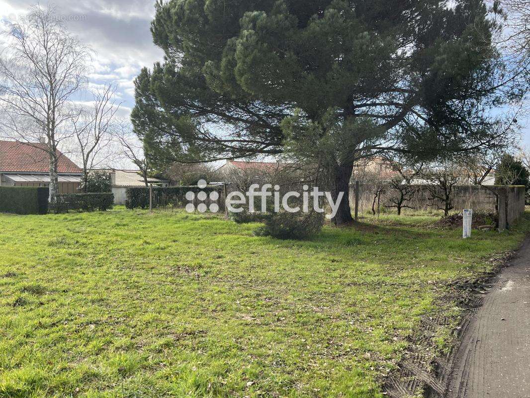 Terrain à PONT-SAINT-MARTIN
