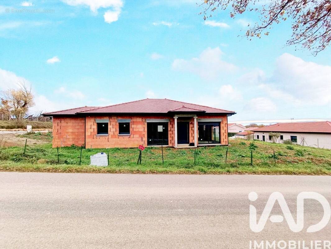 Photo 1 - Maison à MOISSIEU-SUR-DOLON