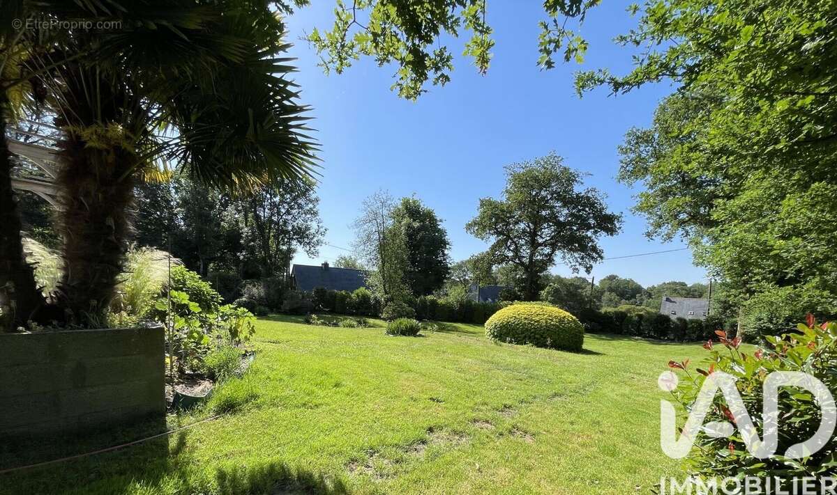 Photo 6 - Maison à NOYAL-MUZILLAC