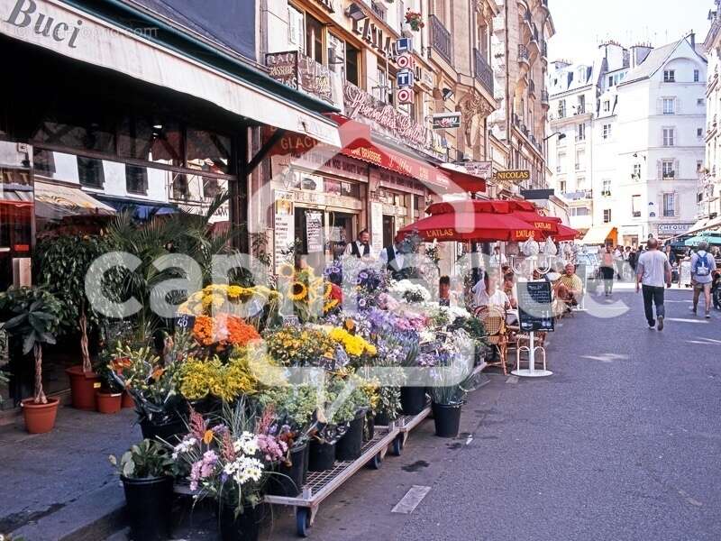 Commerce à BEAUMONT-SUR-SARTHE