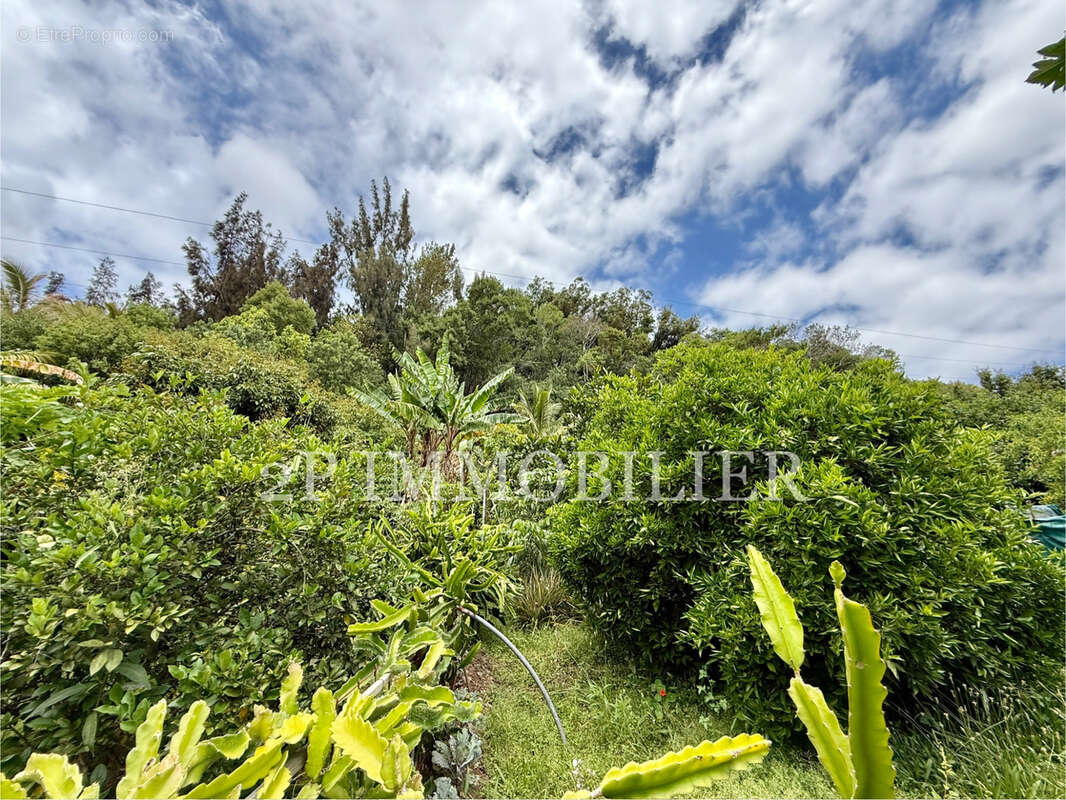 Maison à SAINT-JOSEPH