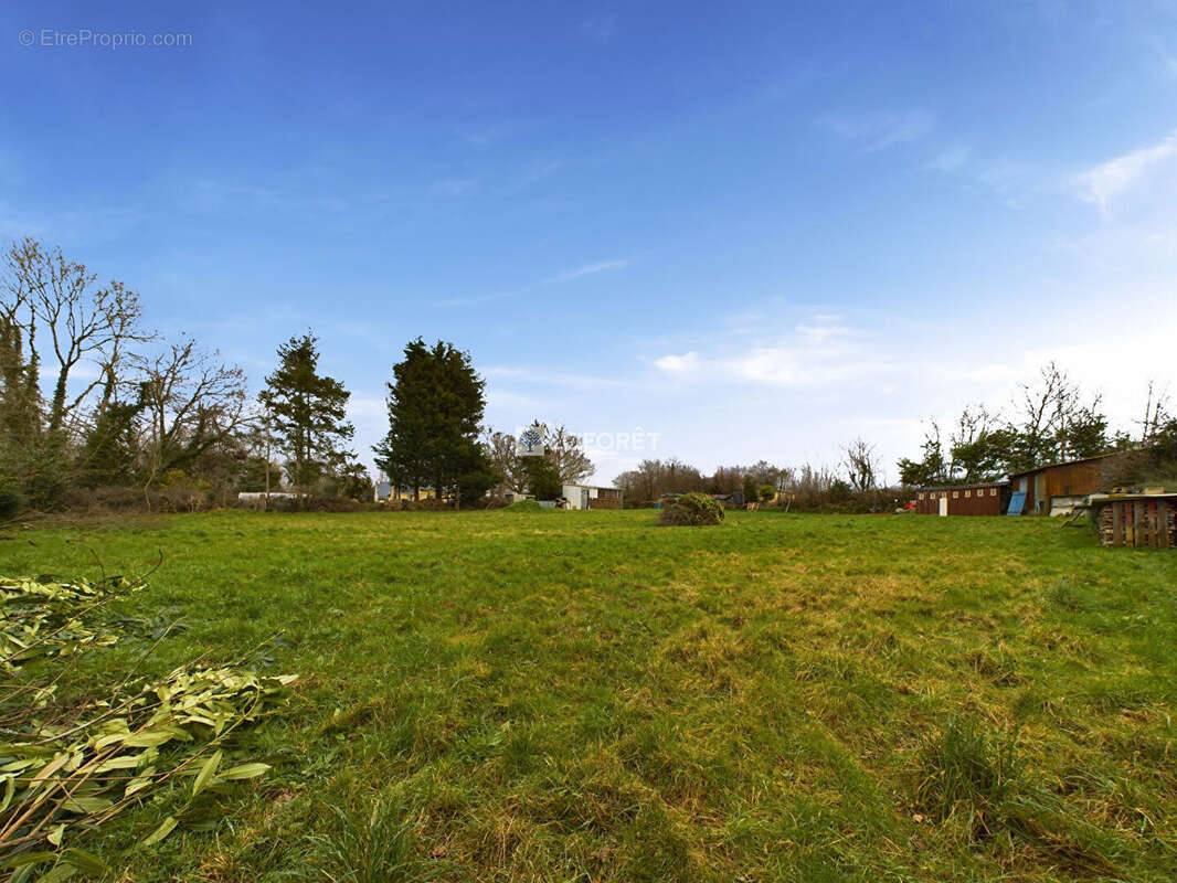 Terrain à DINEAULT