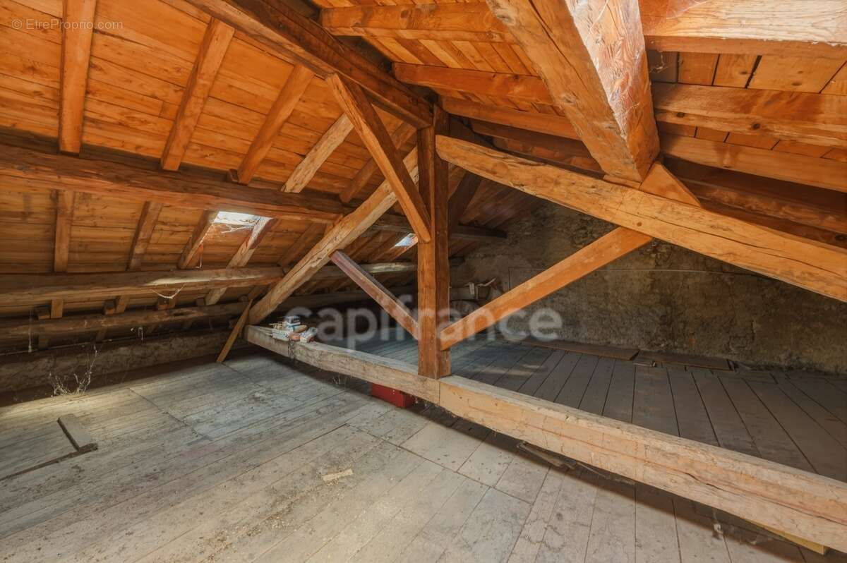 Maison à vendre 5 pièces PERON (01) - photo 34