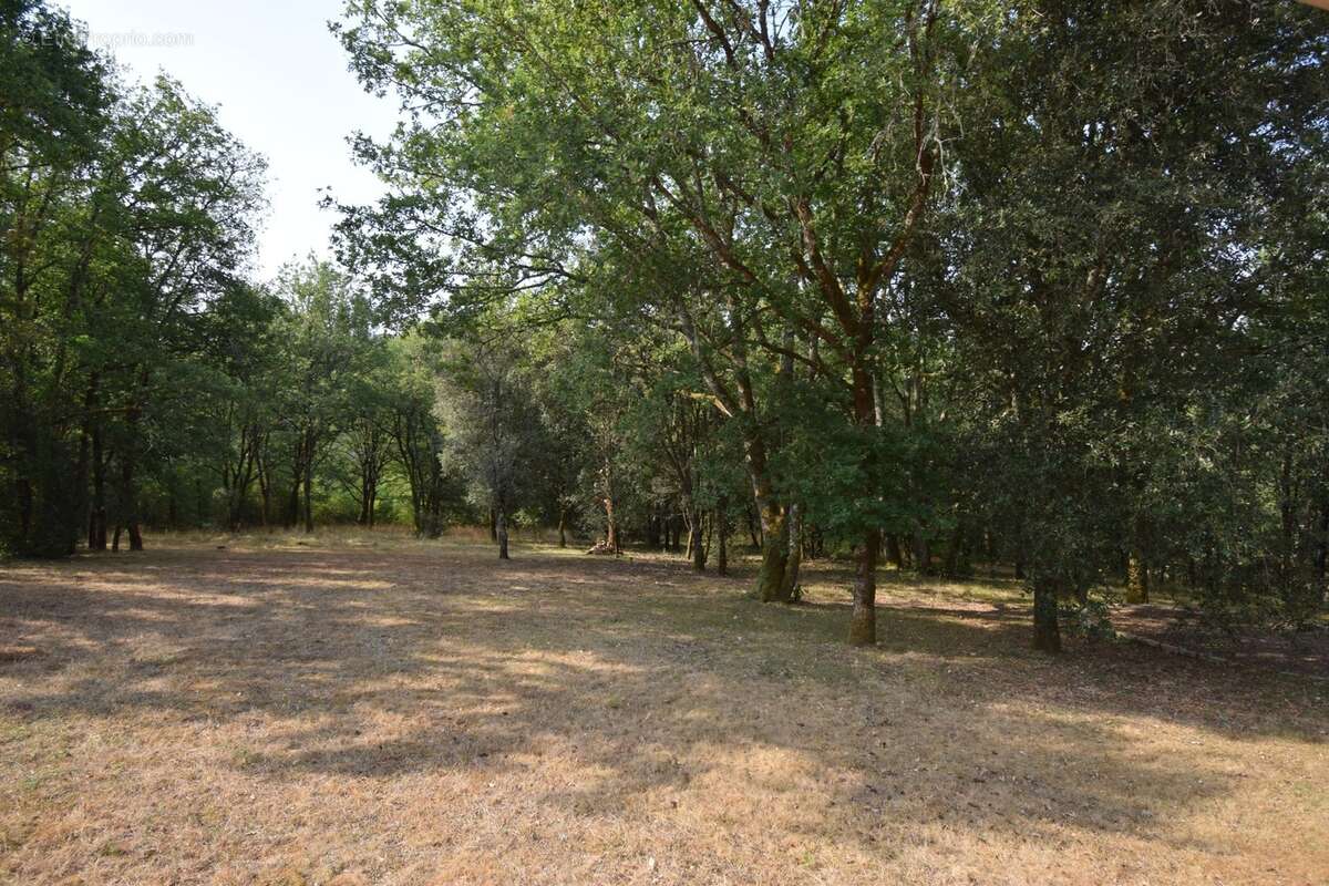 Belle Propriété à vendre 5 pièces VERS (46) - photo 7