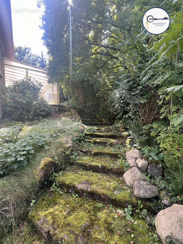 Maison à RAON-AUX-BOIS