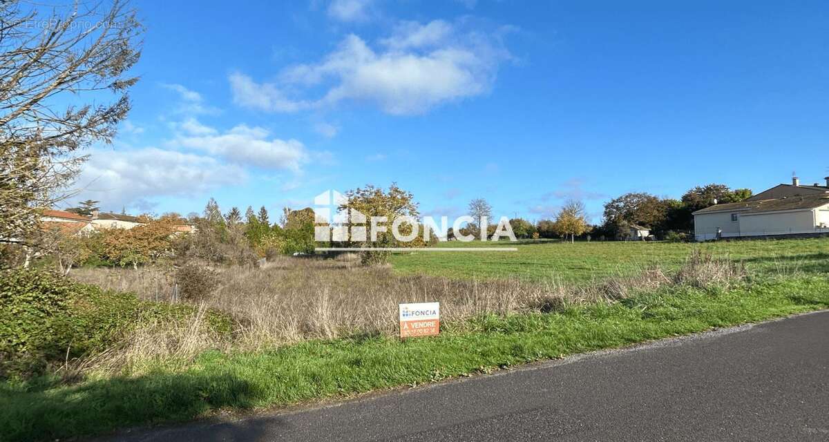 Terrain à SALLES-D&#039;ANGLES