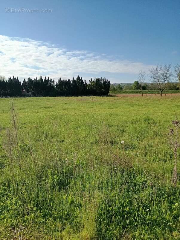 Terrain à LENS-LESTANG