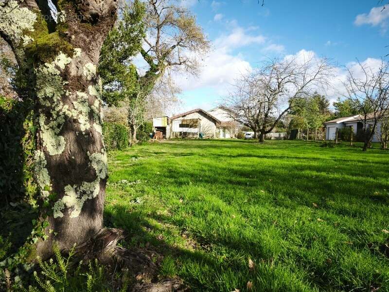 Maison à AIRE-SUR-L&#039;ADOUR