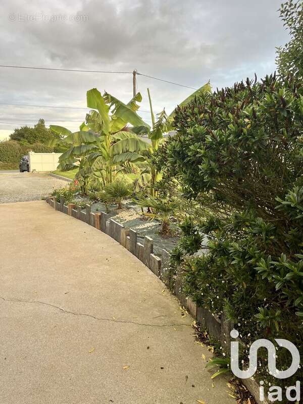 Photo 8 - Maison à CREHEN