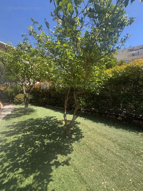 Rare 5 pieces jardin calme absolu plage carnoles roquebrune - photo 9