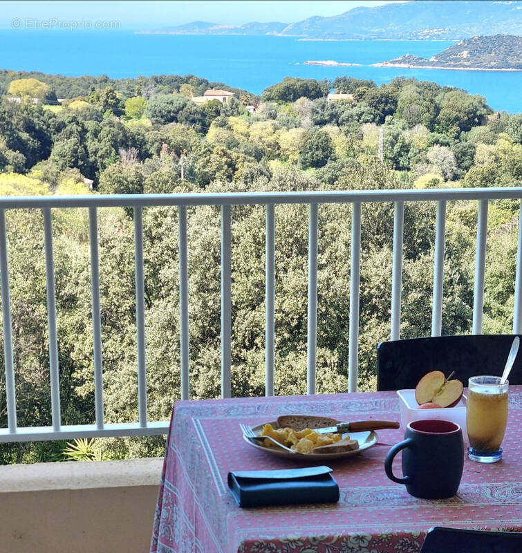 Maison à CALCATOGGIO