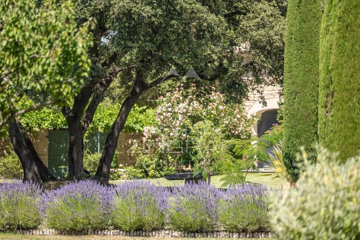 Proche de l'Isle-sur-la-Sorgue - Domaine d'exception entre Luberon et Mont Ventoux sur un parc de 15 hectares - photo 5