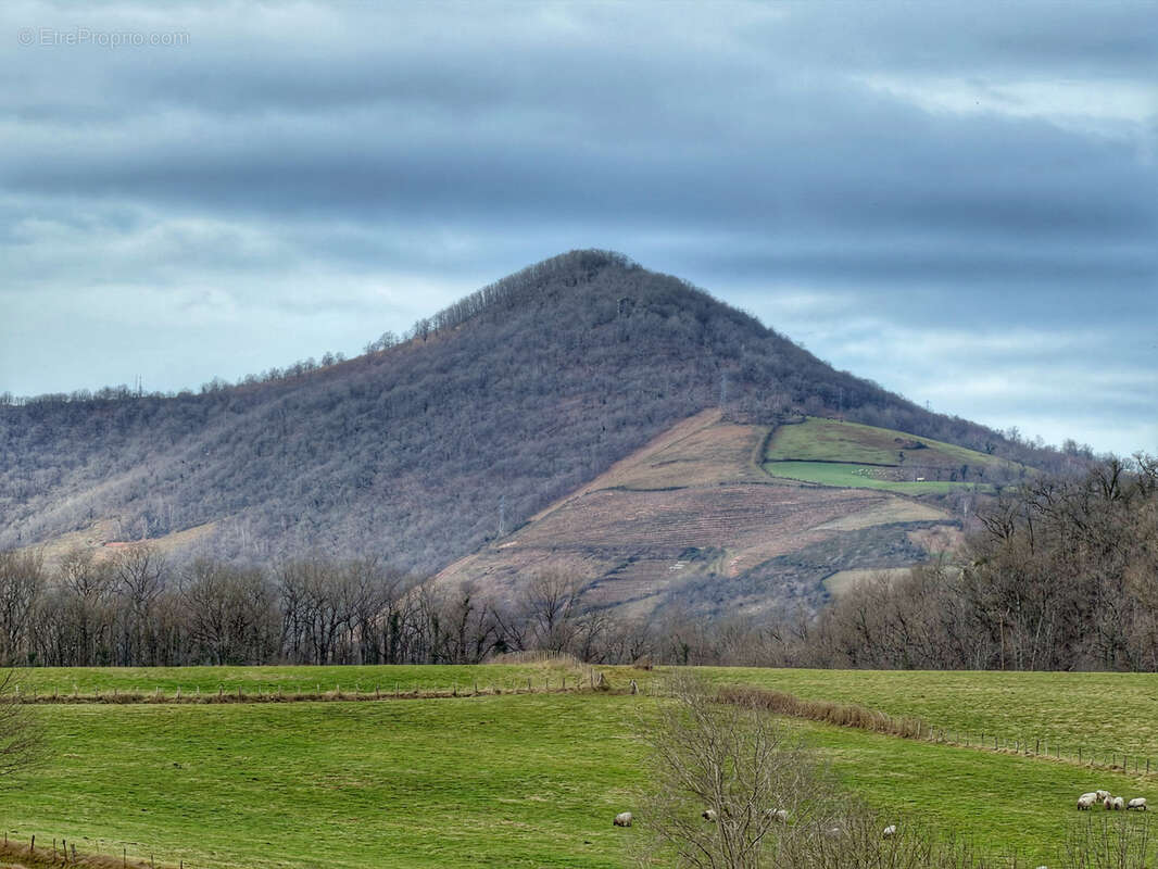 Maison à SAINT-JEAN-PIED-DE-PORT