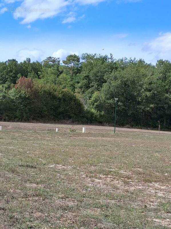 Terrain à MONESTIER