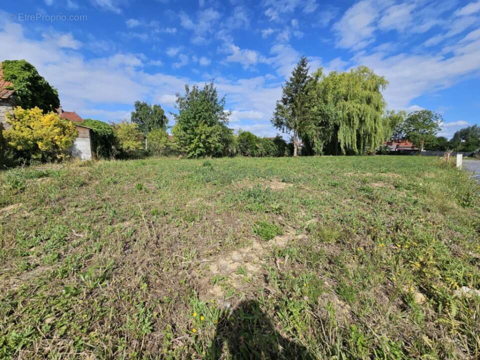 Terrain à MERVILLE