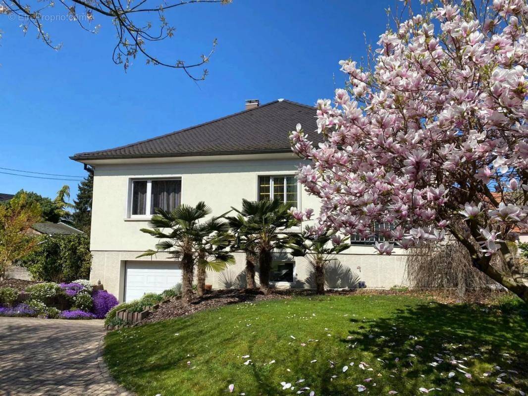 Maison à LA WANTZENAU