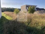 Terrain à LA FERTE-GAUCHER