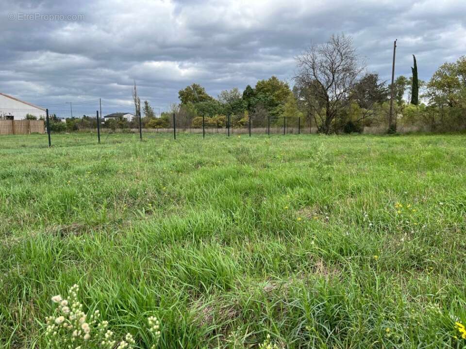 Terrain à MONTELIMAR