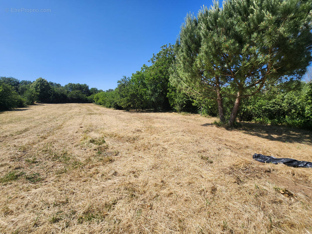 Terrain à SAINT-ETIENNE-DE-BRILLOUET