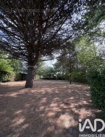 Photo 8 - Appartement à SAINT-ANDRE-DE-CUBZAC