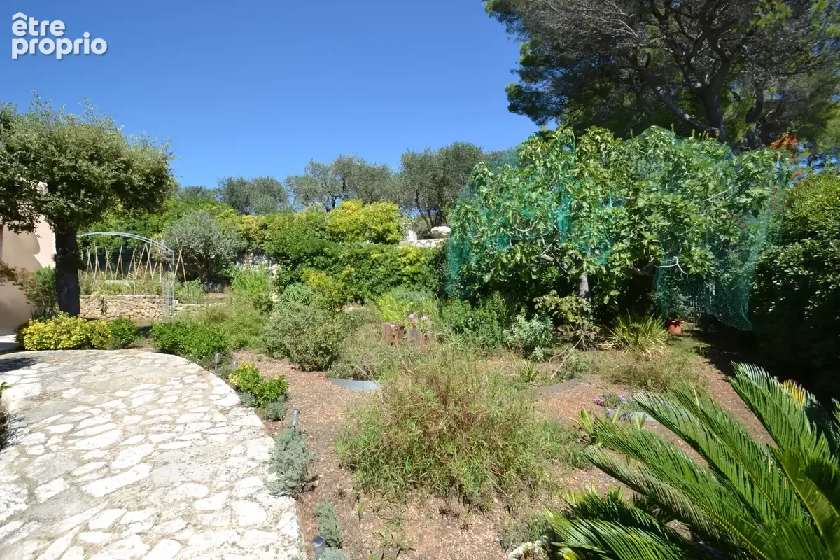 Biot residentiel superbe maison 5/6 pieces terrain 1500 m2 piscine. - photo 6