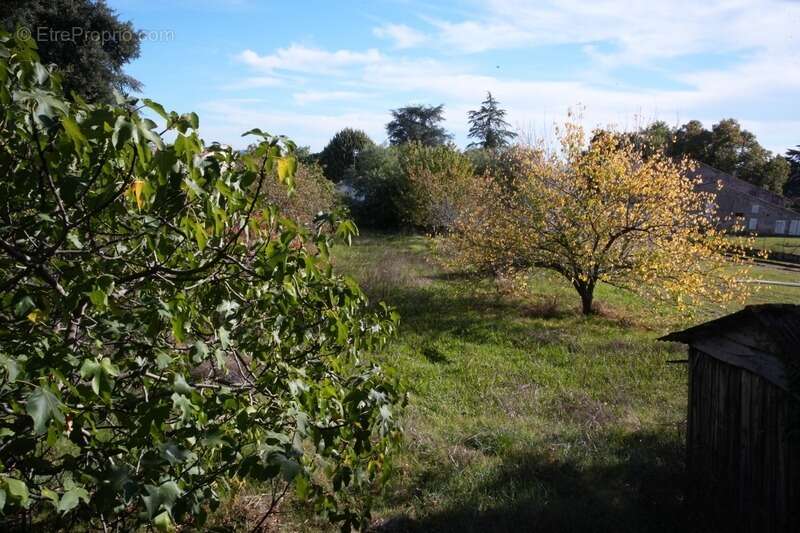 Terrain à CLAIRAC
