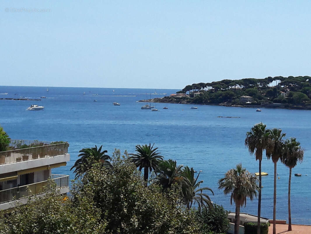 Antibes murs commerciaux  libre top emplacement 79 m2 - photo 2
