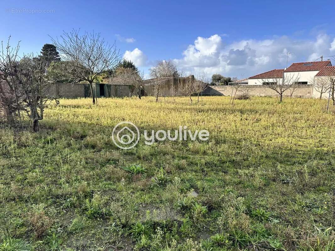 Terrain à L&#039;ILE-D&#039;OLONNE