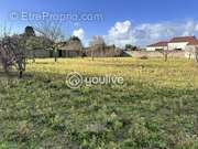 Terrain à L&#039;ILE-D&#039;OLONNE