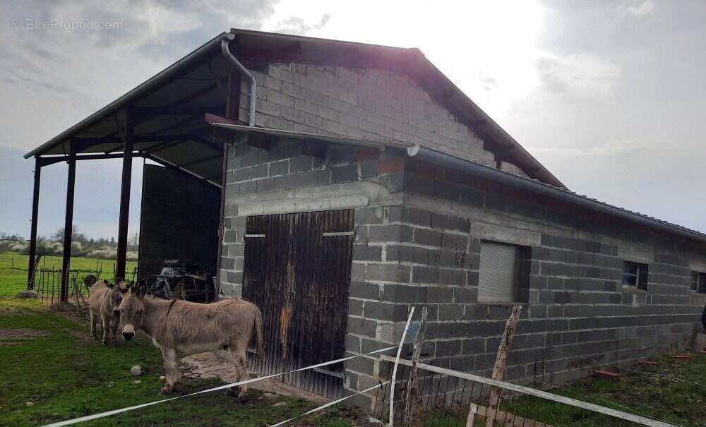 Maison à ESPINASSE-VOZELLE