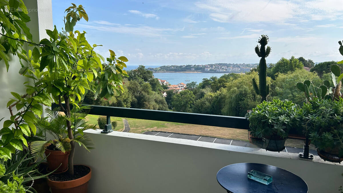 Appartement à CIBOURE