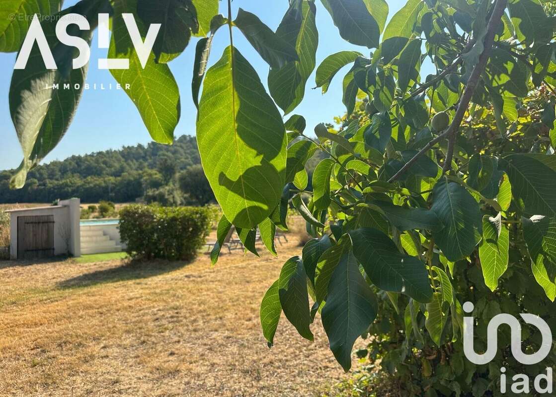 Photo 2 - Maison à SIGNES