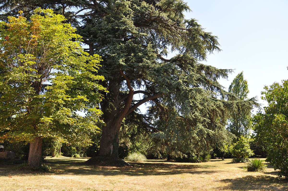 Maison à VILLENEUVE-SUR-LOT